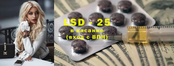 ПСИЛОЦИБИНОВЫЕ ГРИБЫ Бородино