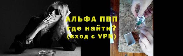 ПСИЛОЦИБИНОВЫЕ ГРИБЫ Бородино